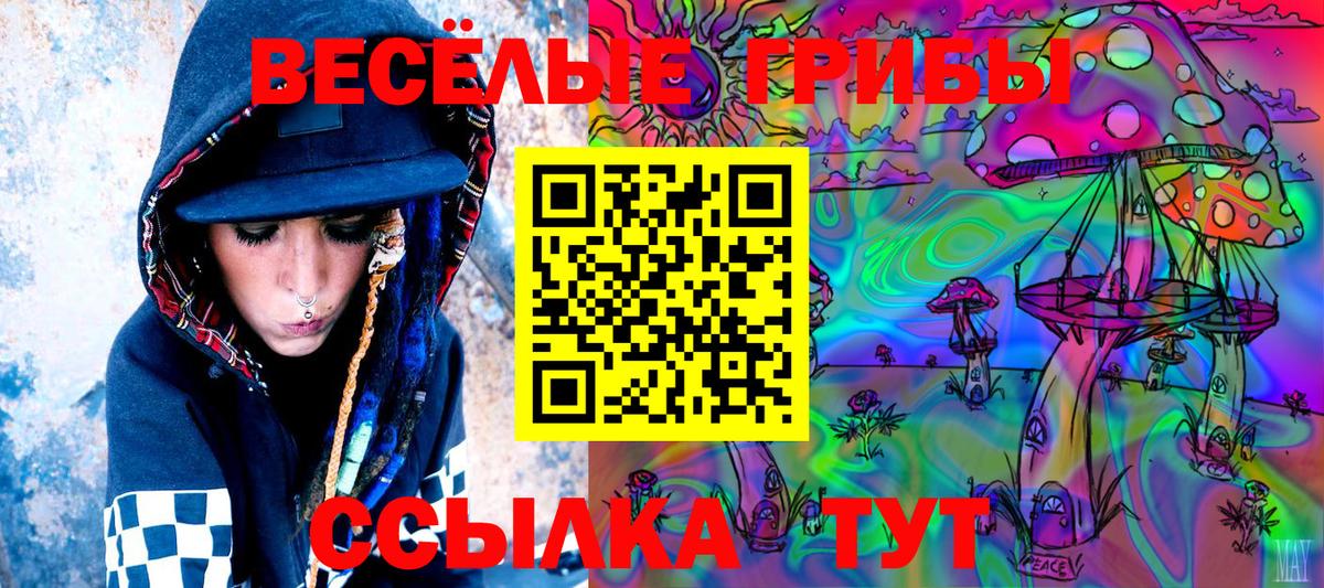 Псилоцибиновые грибы Psilocybe Светлоград