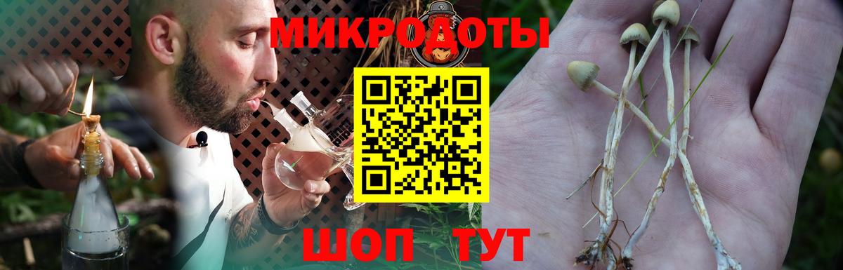 Псилоцибиновые грибы Psilocybine cubensis  Вход с VPN  продажа наркотиков  Светлоград 